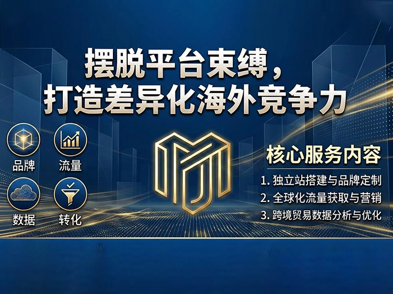 深度拆解独立站核心价值:品牌、流量、数据、转化四维解析