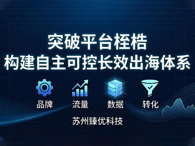 深度拆解独立站核心价值:品牌、流量、数据、转化四维解析